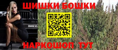 дживик Ставрополь